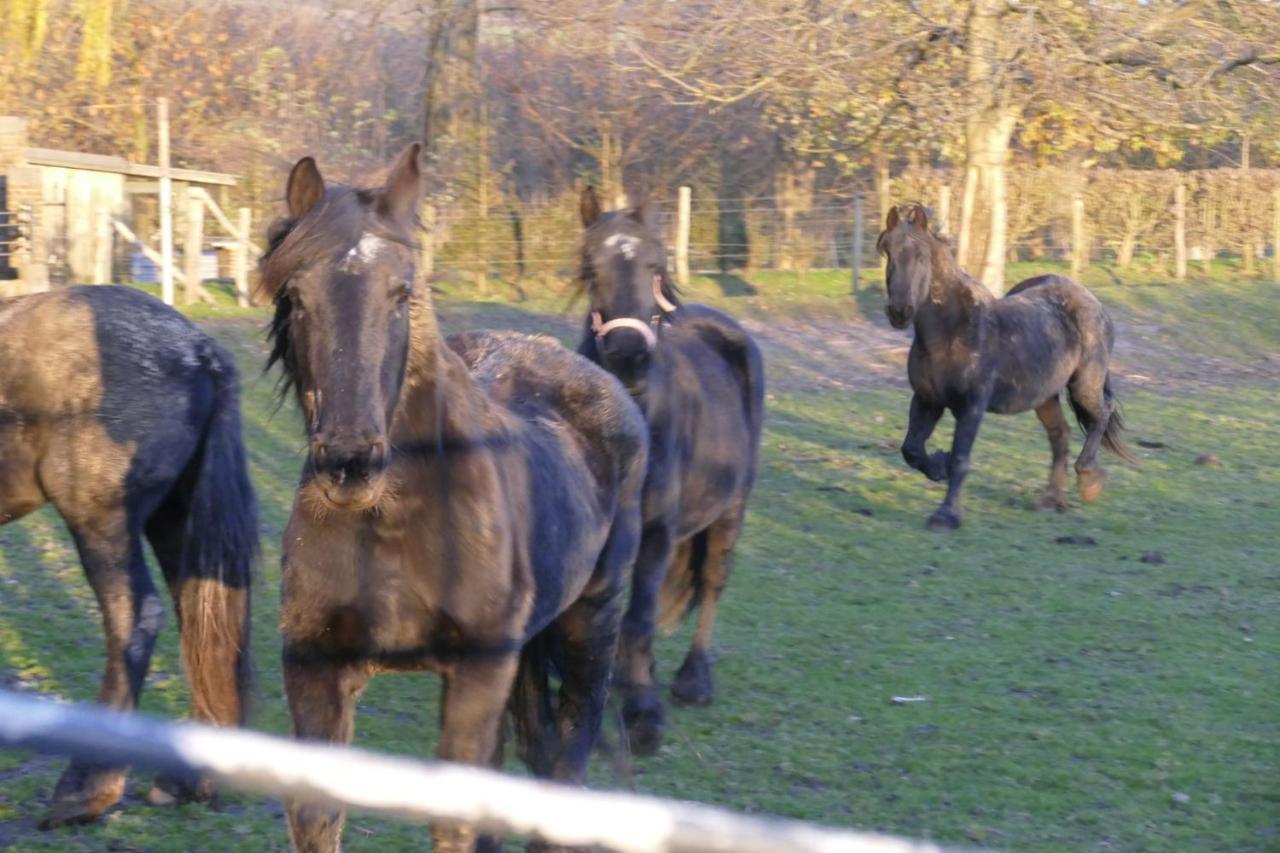 Meschermolen 13 Eijsden Kültér fotó